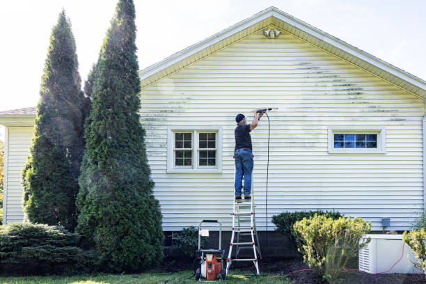 Best Patio and Deck Pressure Washing  in Juneau, AK